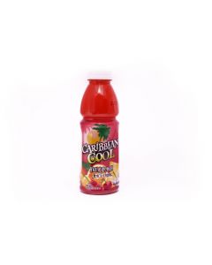 CARIBBEAN COOL FRUIT PUNCH DRINK 16.9OZ