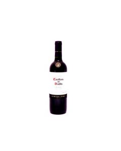 CASILLERO MERLOT  750ML